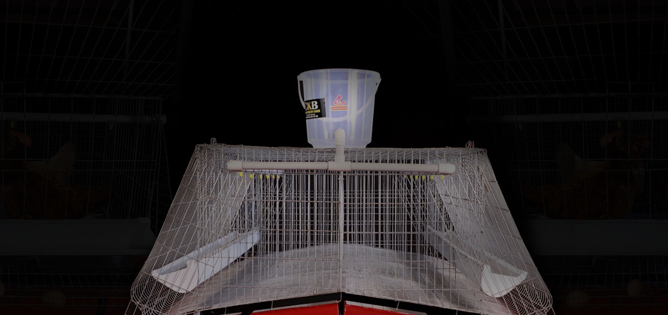 Poultry Cages kozhi koodu/chicken cages