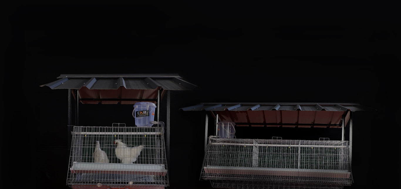 CKB HI-TECH chicken poultry cage