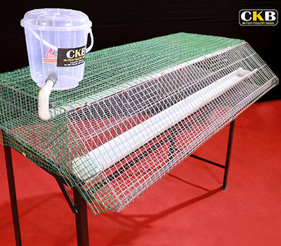 CKB hi tech chicken cages