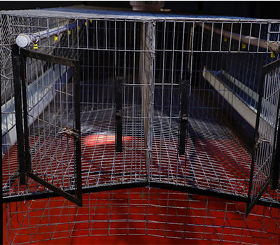 CKB Hi tech goat cage
