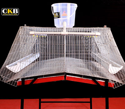 CKB hi tech chicken cage model