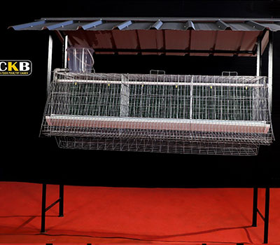 CKB hi tech poultrycage